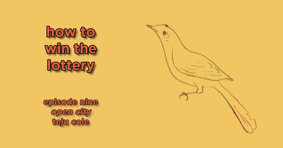 how to win the lottery #009 – open city by teju cole
