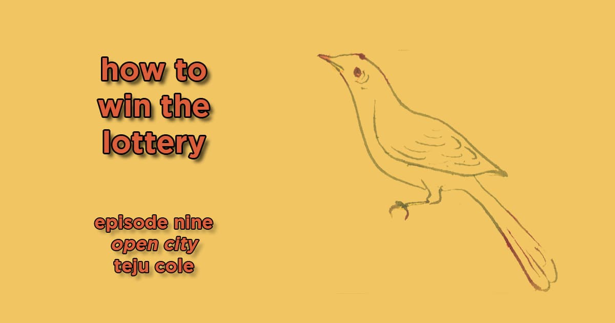 how to win the lottery #009 – open city by teju cole
