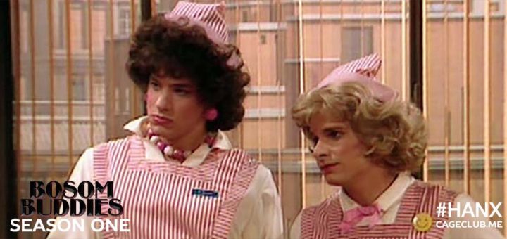 Bosom Buddies: Season 1