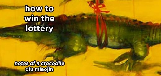 how to win the lottery s17e5 – notes of a crocodile by qiu miaojin