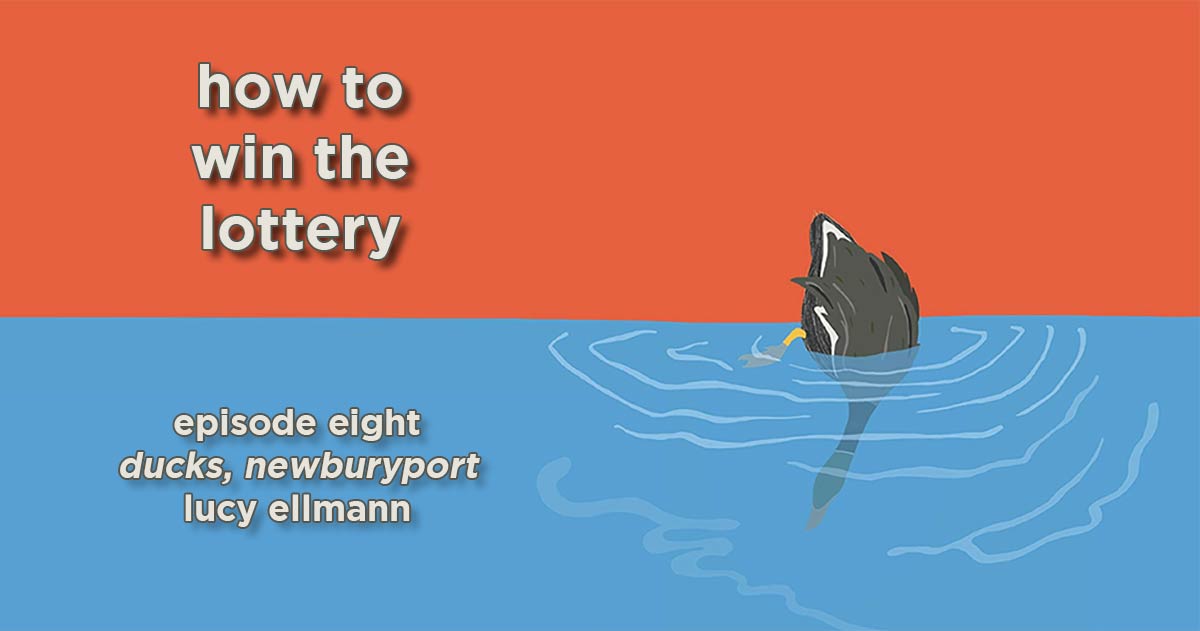 how to win the lottery #008 – ducks, newburyport by lucy ellmann