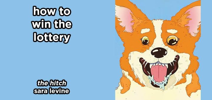 how to win the lottery s18e3 – the hitch by sara levine