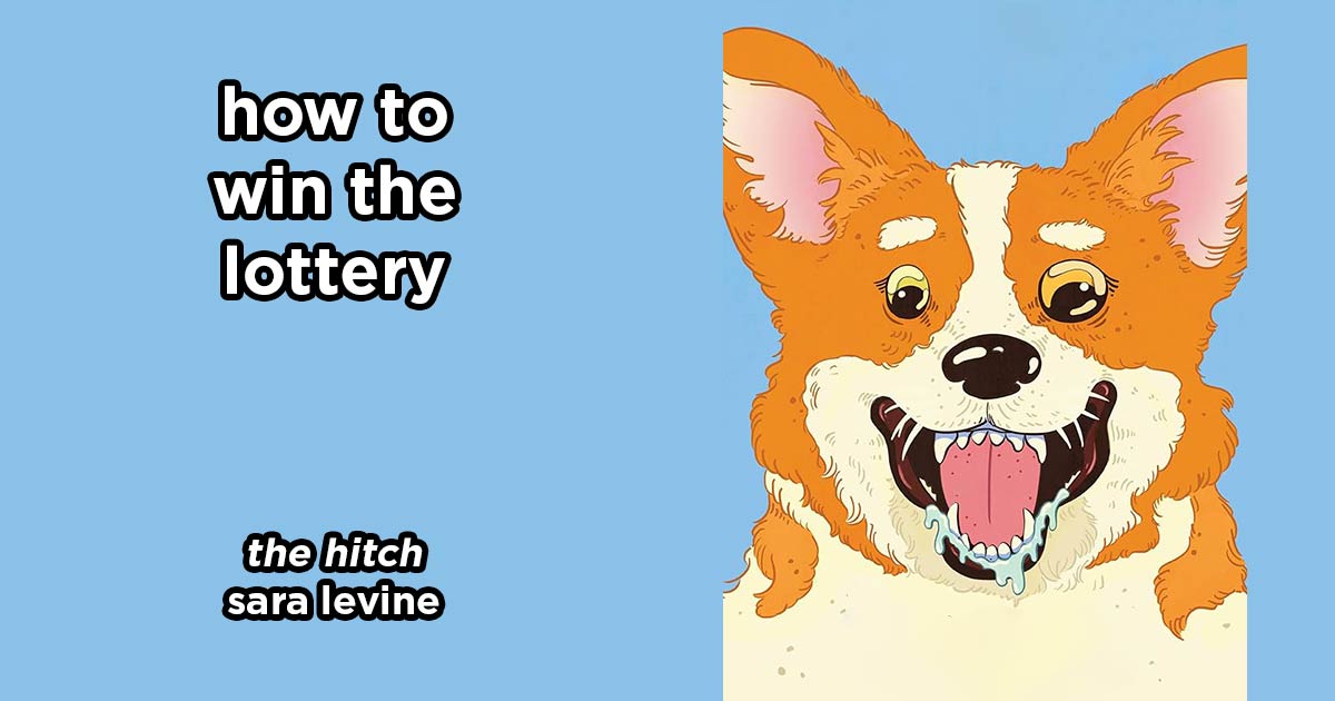 how to win the lottery s18e3 – the hitch by sara levine