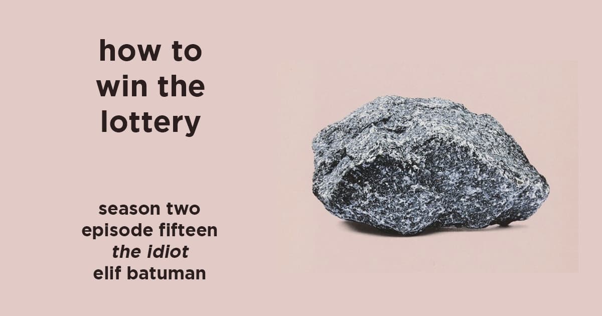 Elif Batuman, The Idiot 