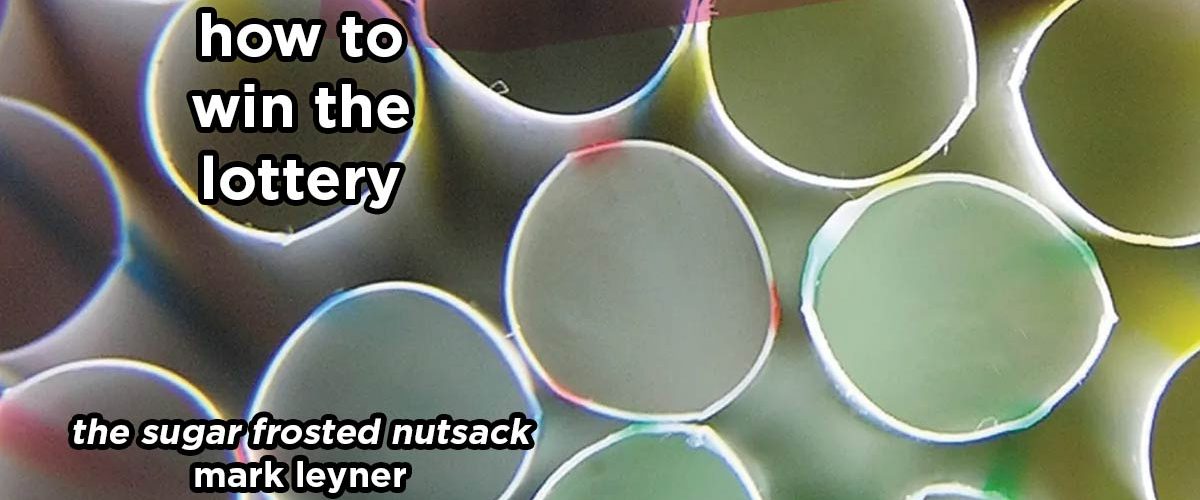 how to win the lottery s21e2 – the sugar frosted nutsack by mark leyner