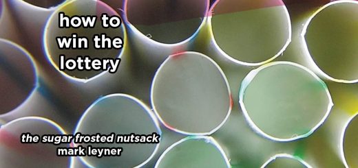 how to win the lottery s21e2 – the sugar frosted nutsack by mark leyner