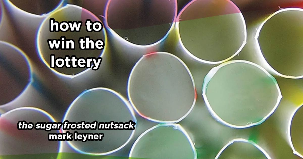 how to win the lottery s21e2 – the sugar frosted nutsack by mark leyner