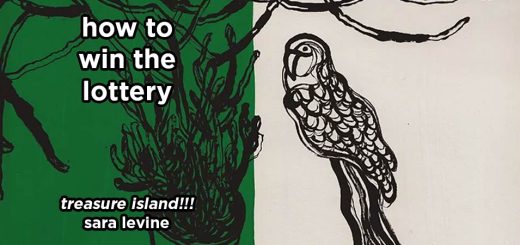 how to win the lottery s18e2 – treasure island!!! by sara levine