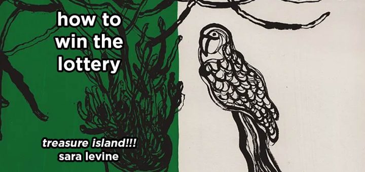 how to win the lottery s18e2 – treasure island!!! by sara levine