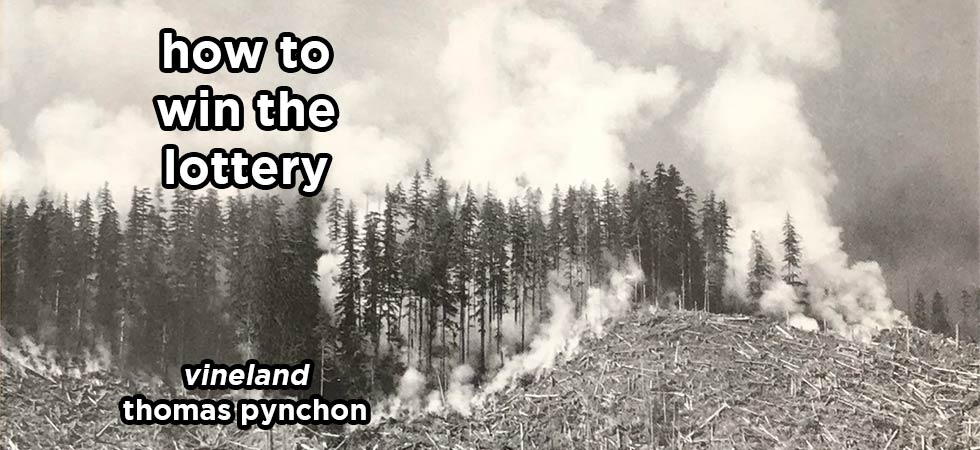 how to win the lottery s17e1 – vineland by thomas pynchon